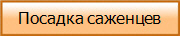 Посадка саженцев