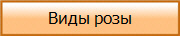 Виды розы